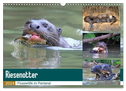 Riesenotter - Flusswölfe im Pantanal (Wandkalender 2024 DIN A3 quer), CALVENDO Monatskalender