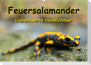 Feuersalamander - Liebenswerte Heimlichtuer (Wandkalender 2023 DIN A2 quer)