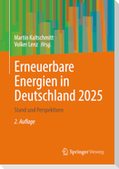 Erneuerbare Energien in Deutschland 2025