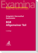 BGB Allgemeiner Teil