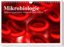 Mikrobiologie. Mikroorganismen, Genetik und Zellen (Wandkalender 2025 DIN A4 quer), CALVENDO Monatskalender