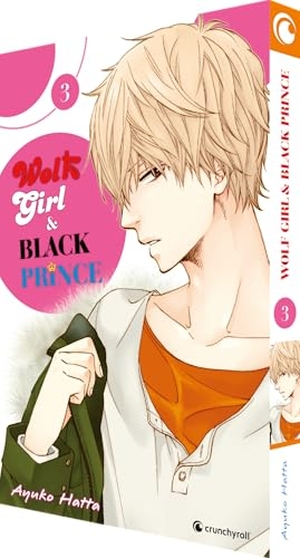 Hatta, Ayuko. Wolf Girl & Black Prince 03. Pegasus Manga, 2015.
