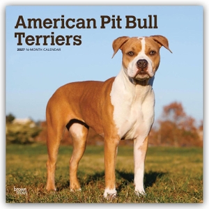 Publishers, Browntrout. American Pit Bull Terriers 2027 - 16-Monatskalender - Original BrownTrout-Kalender [Mehrsprachig] [Kalender]. Browntrout Verlags GmbH, 2026.