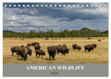 American Wildlife (Tischkalender 2024 DIN A5 quer), CALVENDO Monatskalender