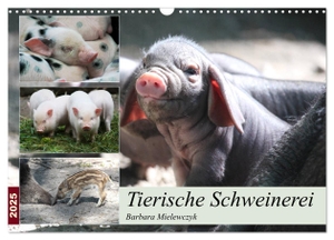 Mielewczyk, Barbara. Tierische Schweinerei (Wandkalender 2025 DIN A3 quer), CALVENDO Monatskalender - Schweine findet man als Haustiere - aber auch als Wildtiere.. Calvendo, 2024.
