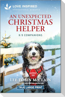 An Unexpected Christmas Helper