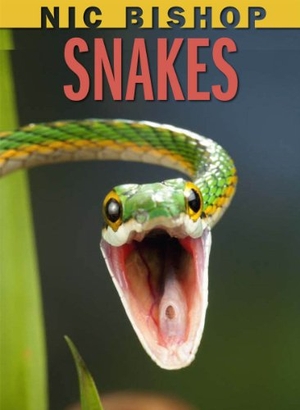 Bishop, Nic. Nic Bishop: Snakes. Scholastic Inc., 2012.