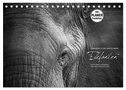 Emotionale Momente: Elefanten in black and white (Tischkalender 2025 DIN A5 quer), CALVENDO Monatskalender