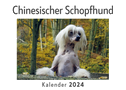 Chinesischer Schopfhund (Wandkalender 2024, Kalender DIN A4 quer, Monatskalender im Querformat mit Kalendarium, Das perfekte Geschenk)