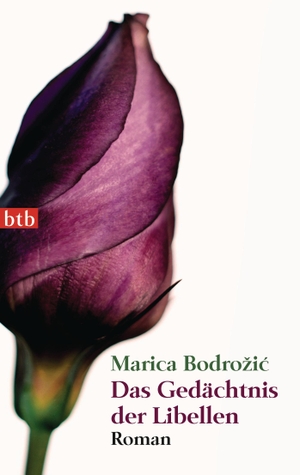 Marica Bodrožić. Das Gedächtnis der Libellen - Roman. btb, 2012.