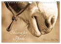 Shiatsu für Pferde - Photos von Meike Bölts (Wandkalender 2024 DIN A4 quer), CALVENDO Monatskalender