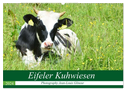 Eifeler Kuhwiesen (Wandkalender 2024 DIN A2 quer), CALVENDO Monatskalender