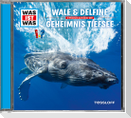Was ist was Hörspiel-CD: Wale & Delfine/ Geheimnisse der Tiefsee