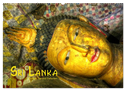 Sri Lanka - Tempel, Tee und Elefanten (Wandkalender 2024 DIN A2 quer), CALVENDO Monatskalender