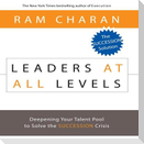 Leaders at All Levels Lib/E: Deepening Your Talent Pool to Solve the Succession Crisis