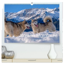 Alaskan Malamute in seinem Element (hochwertiger Premium Wandkalender 2024 DIN A2 quer), Kunstdruck in Hochglanz