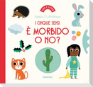 È morbido o no? I cinque sensi