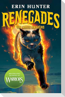 Renegades: The Magic Awakens