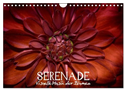 Serenade - Visuelle Musik der Blumen (Wandkalender 2025 DIN A4 quer), CALVENDO Monatskalender
