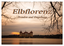 Elbflorenz - Dresden und Umgebung (Wandkalender 2024 DIN A2 quer), CALVENDO Monatskalender