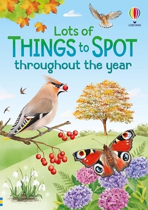 Bryan, Lara / Simon Tudhope. Lots of Things to Spot throughout the year. Usborne Publishing Ltd, 2026.