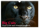 Big Cats ¿ Faces of the most beautiful predators (Wall Calendar 2025 DIN A4 landscape), CALVENDO 12 Month Wall Calendar