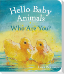 Hello Baby Animals, Who Are You?