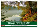 Auwälder bei Enns (Wandkalender 2024 DIN A4 quer), CALVENDO Monatskalender