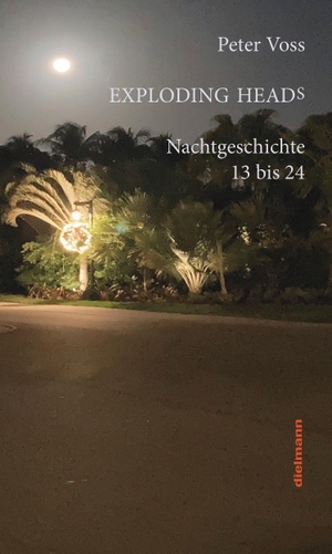 Voss, Peter. Exploding Heads - Nachtgeschichte 13 bis 24. Dielmann Axel Verlag, 2024.