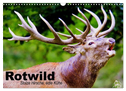 Rotwild. Edle Hirsche, stolze Kühe (Wandkalender 2024 DIN A3 quer), CALVENDO Monatskalender