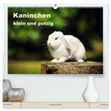 Kaninchen klein und putzig (hochwertiger Premium Wandkalender 2024 DIN A2 quer), Kunstdruck in Hochglanz