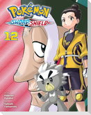 Pokemon: Sword & Shield, Vol. 12