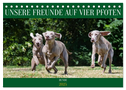 Unsere Freunde auf vier Pfoten - Hunde (Tischkalender 2025 DIN A5 quer), CALVENDO Monatskalender
