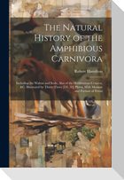 The Natural History of the Amphibious Carnivora