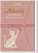 Brief-Adventskalenderbuch - Advent auf Samtpfoten