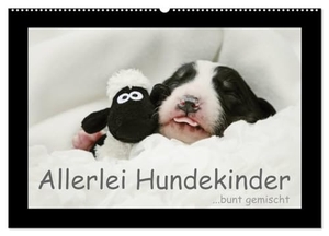 Köntopp, Kathrin. Allerlei Hundekinder (Wandkalender 2024 DIN A2 quer), CALVENDO Monatskalender - ...bunt gemischt. Calvendo Verlag, 2023.