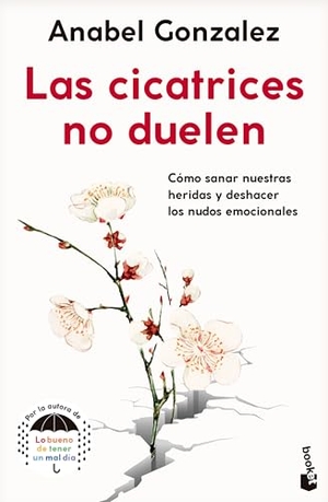 Gonzalez, Anabel. Las cicatrices no duelen / Scars Don't Hurt. Editorial Planeta Mexicana S.A. de C.V., 2026.