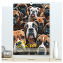 Boxer - Liebenswerte Kasperköpfe (hochwertiger Premium Wandkalender 2025 DIN A2 hoch), Kunstdruck in Hochglanz