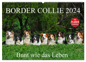 Border Collie 2024 (Wandkalender 2024 DIN A2 quer), CALVENDO Monatskalender