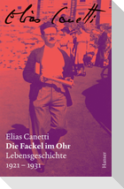 Die Fackel im Ohr - Zürcher Ausgabe, Band 6