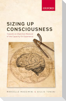 Sizing Up Consciousness