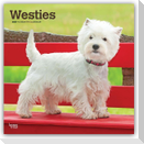 West Highland White Terriers - Westhighland White Terrier - Westies 2027 - 16-Monatskalender