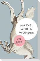 Marvel and a Wonder