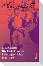 Die Fackel im Ohr - Zürcher Ausgabe, Band 6