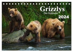 Steinwald, Max. Grizzlys - Der Kalender (Tischkalender 2024 DIN A5 quer), CALVENDO Monatskalender - Grizzlybären - ein Fotoshooting in der Wildnis Alaskas. Calvendo Verlag, 2023.
