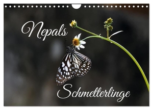 Hennighaußen, Andreas. Nepals Schmetterlinge (Wandkalender 2024 DIN A4 quer), CALVENDO Monatskalender - Eine Auswahl von Schmetterlingen, die ich bei meinen Nepalreisen fotografierte.. Calvendo, 2023.
