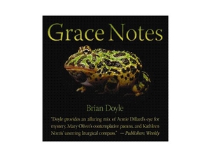 Doyle, Brian. Grace Notes. ACTA Publications, 2013.