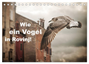 Wie ein Vogel in Rovinj! (Tischkalender 2024 DIN A5 quer), CALVENDO Monatskalender