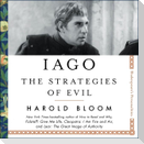 Iago: The Strategies of Evil
