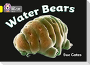 Water Bears